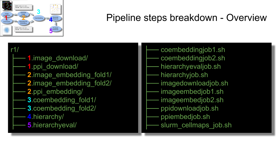 List of main folders created by tool on left and on right the scripts needed by SLURM