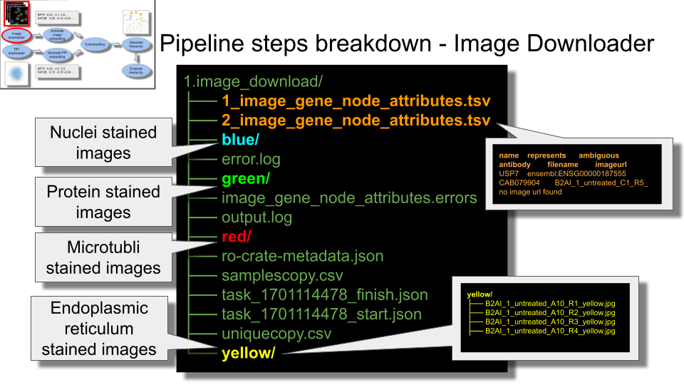 list of common files created in 1.image_download directory