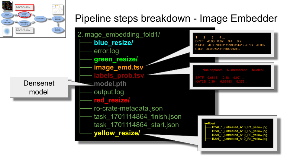 list of common files created in 2.image_embedding_fold# directories