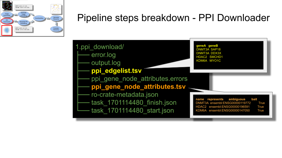 list of common files created in 1.ppi directory