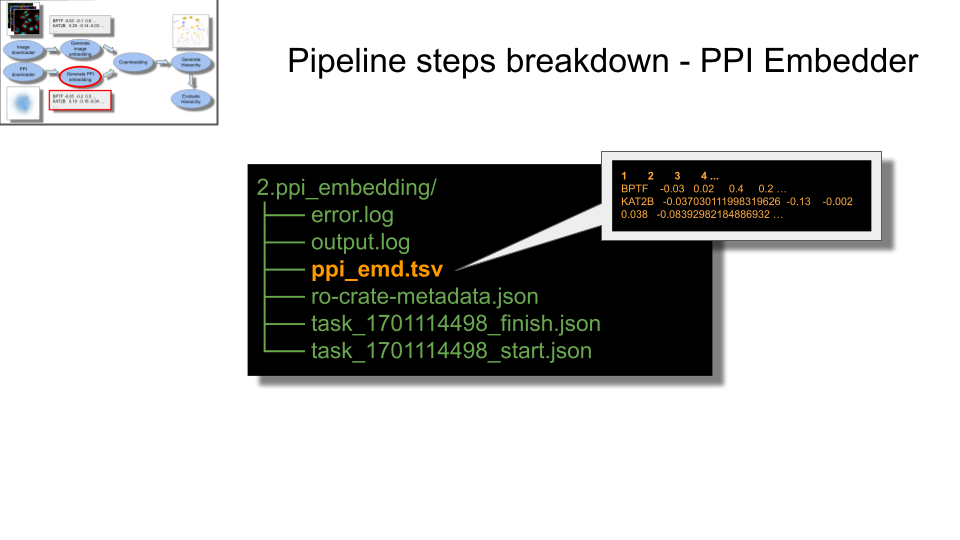 list of common files created in 2.ppi_embedding directory