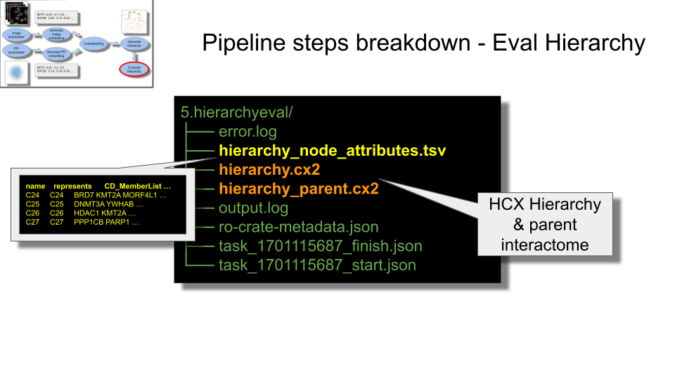list of common files created in 5.hierarchyeval directories